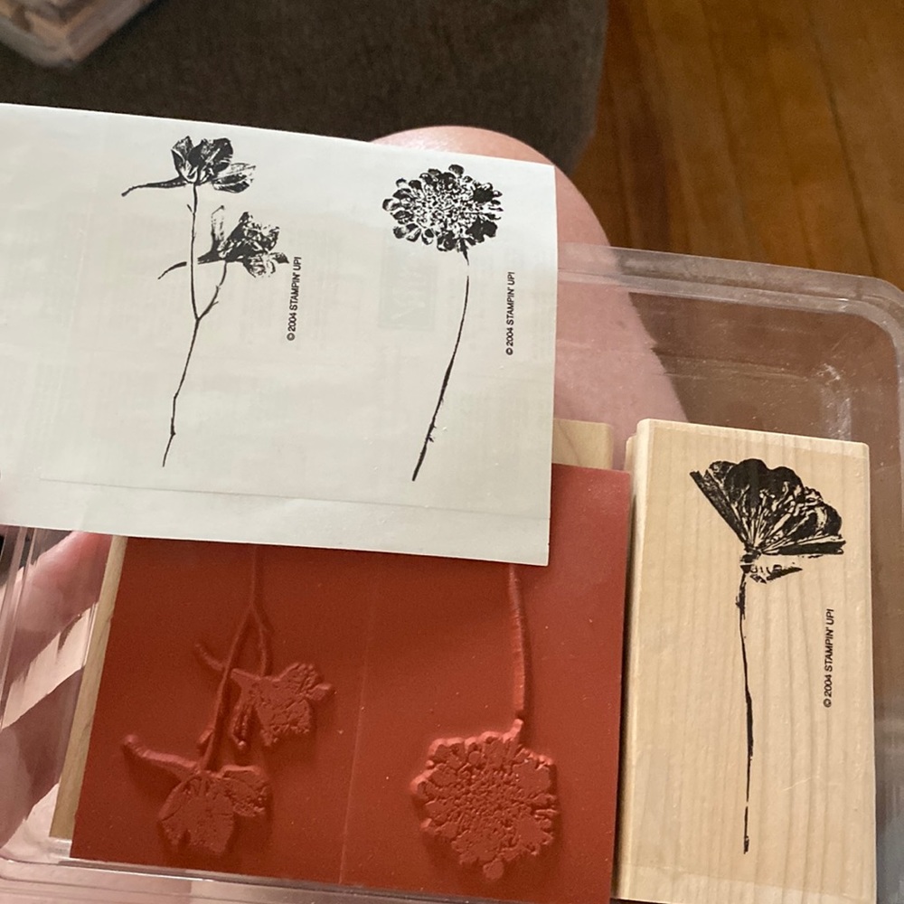 Stampin up! “More Petal Prints” set